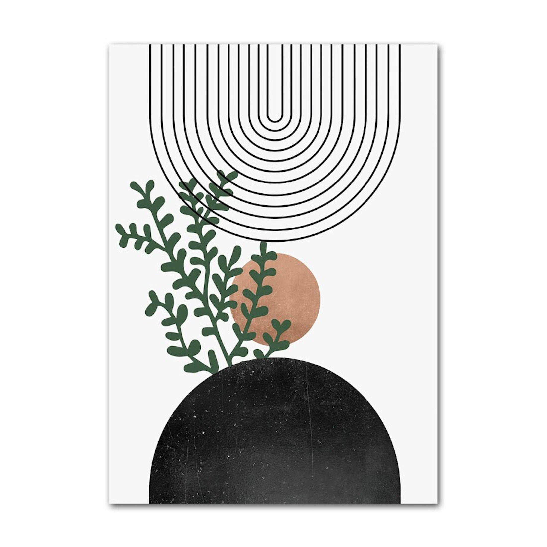 Affiche murale Unica Nota · Poster Plantes & Lignes Géométriques · Décoration naturelle et moderne